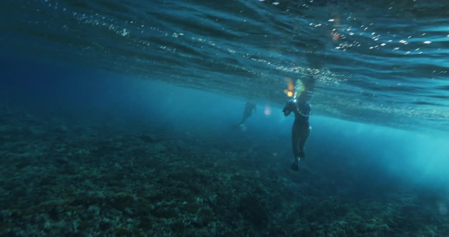 Divers capture underwater footage in the blue ocean waters