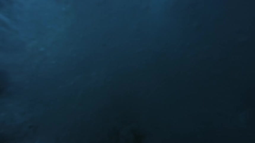 A dark ocean wave rolls over the camera