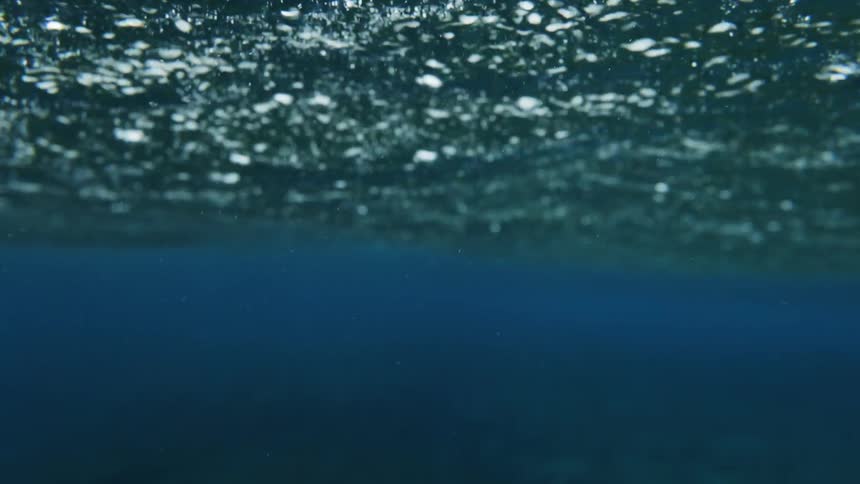 Below the sparkling ocean surface