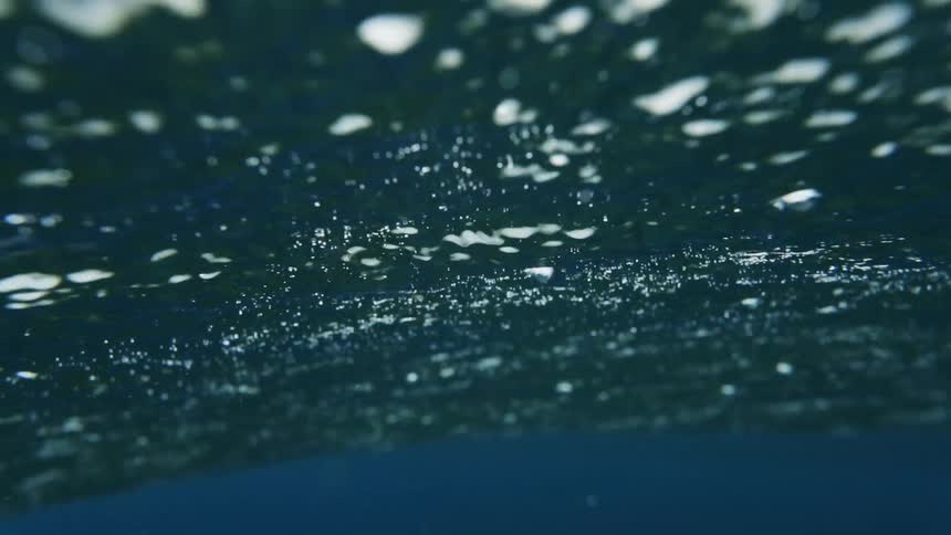 Waves can be seen from underneath passing over the surface of the ocean