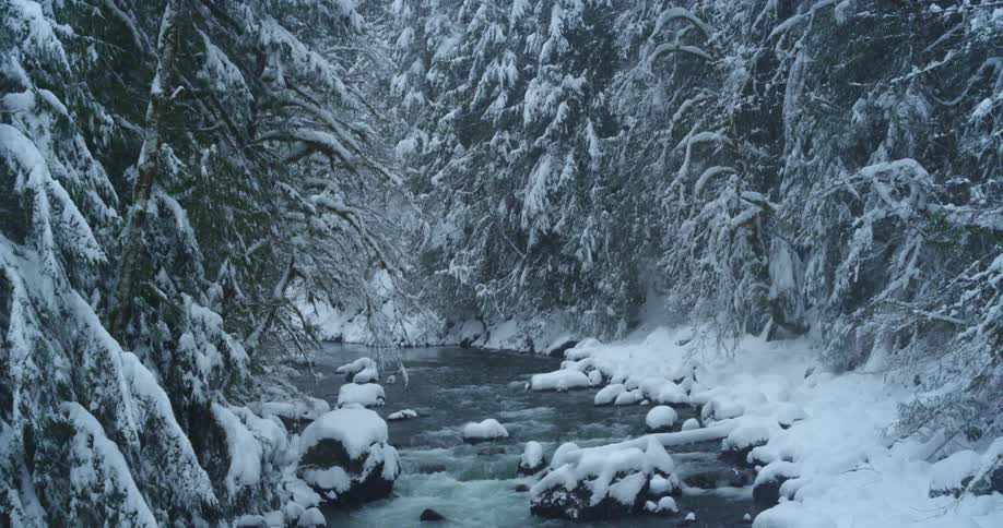 Snow gently falling over a river and a forest