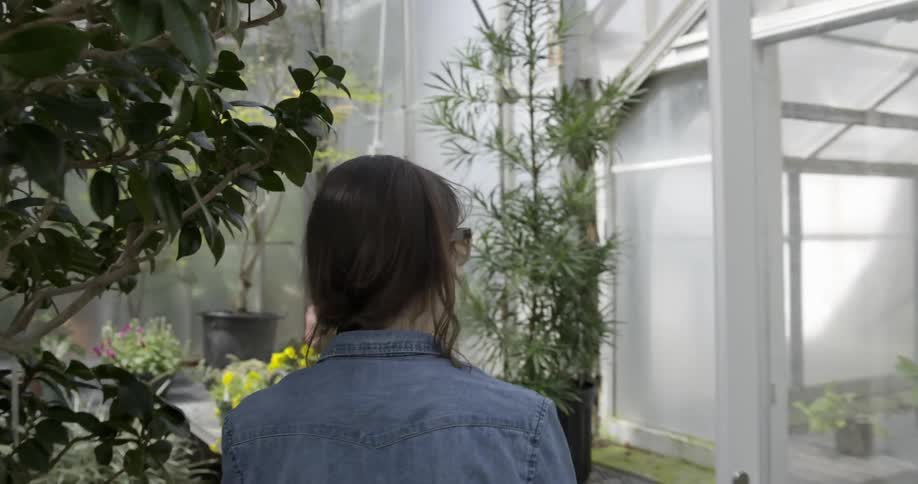 A woman is walking in a greenhouse