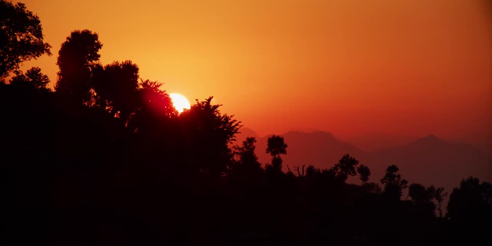 A red sky and sun over a forest
