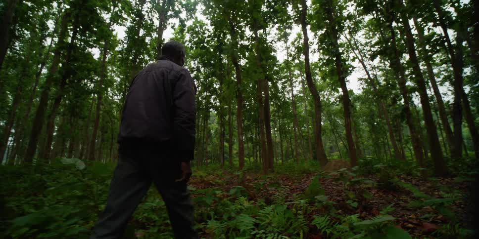 A man is hiking through the forest