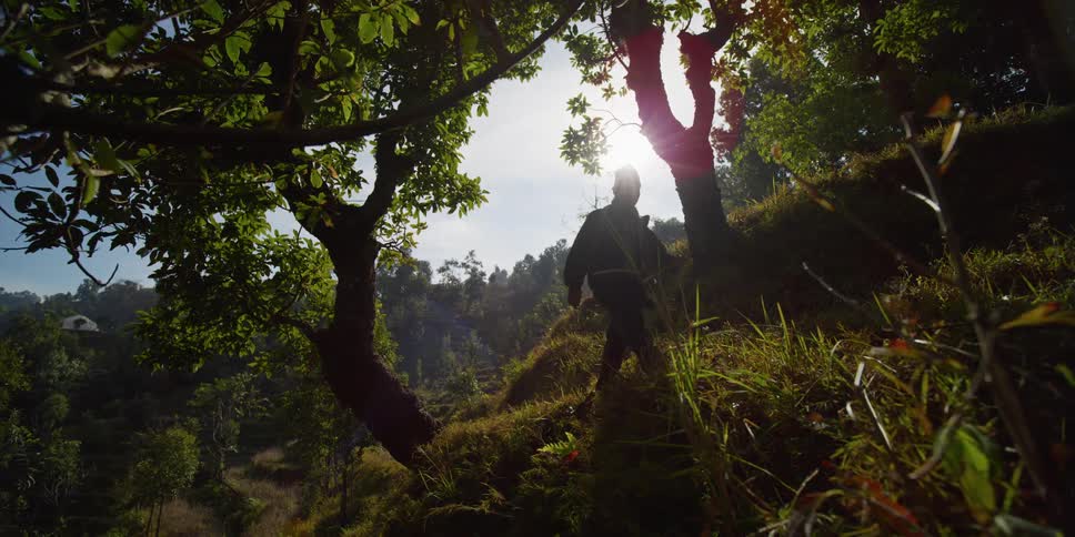 A man is hiking through the woods