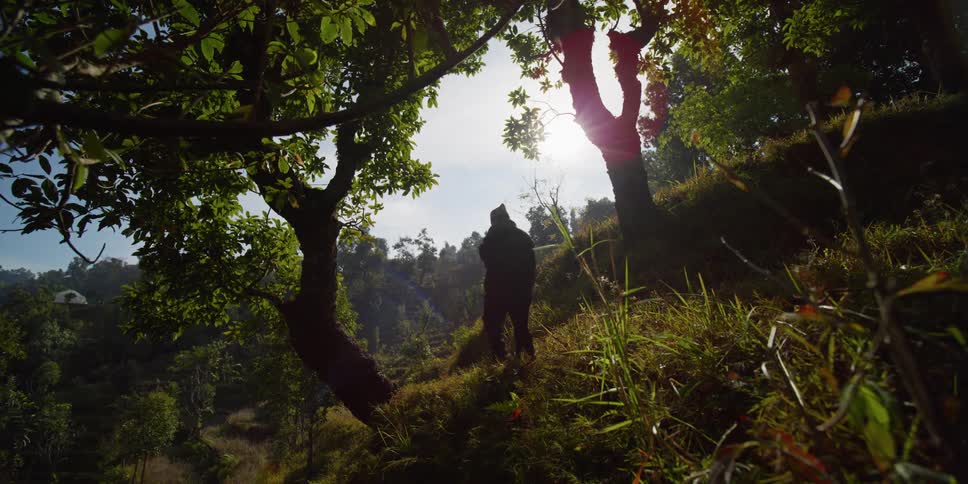 Person wearing knit hat walks down steep hill past trees while sun shines over forest on horizon