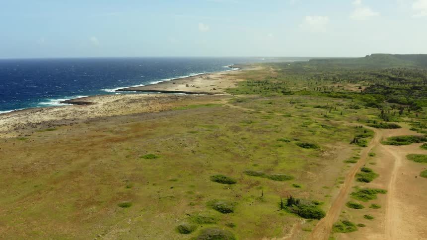 A grassland bordering a deep blue ocean on a sunny day
