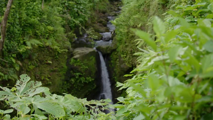 A river with a waterfall surrounded by rocks moss and plants