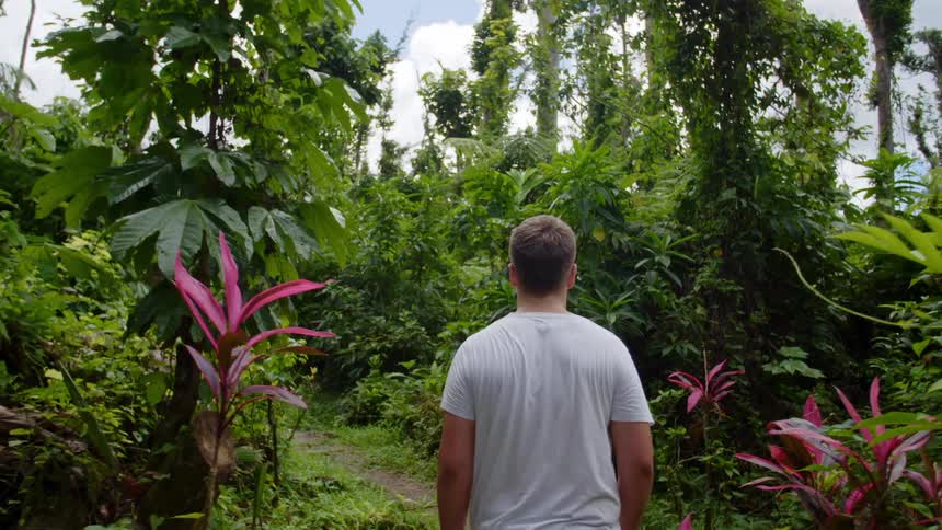 A man walks along a path in a forest