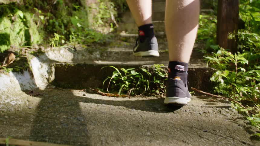 People climb outdoor staircase bordered by vegetation