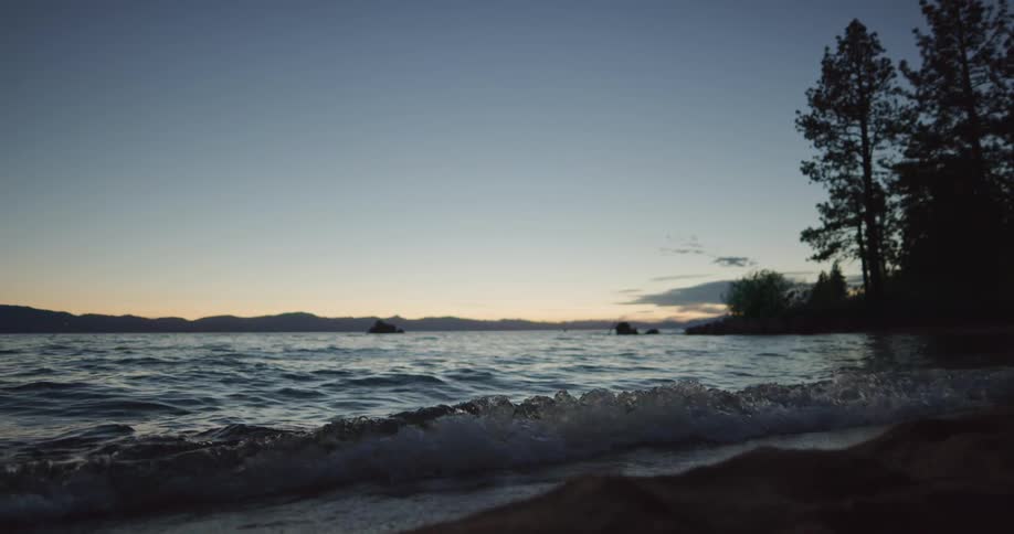 Waves roll in on a beach near some evergreen trees