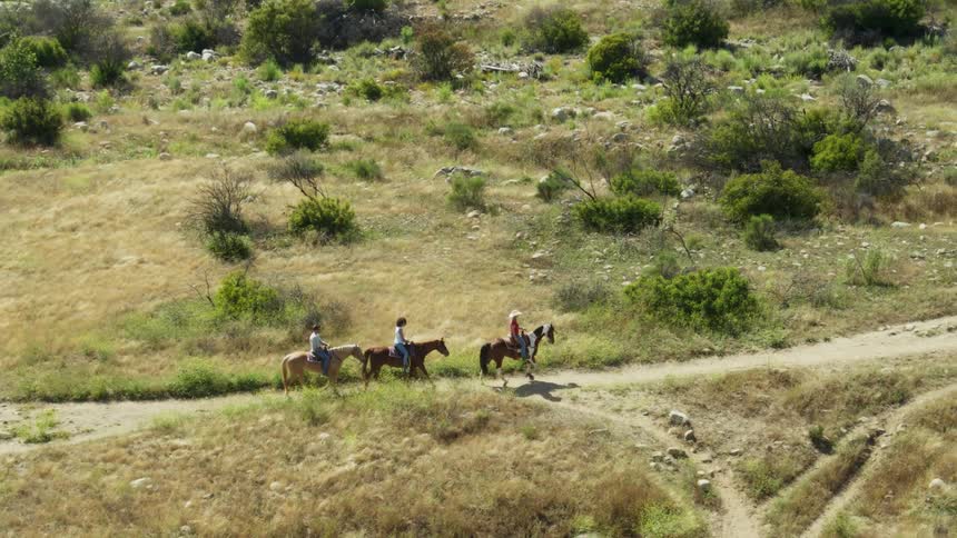 Aerial view of people riding horses on a dirt road through the fields