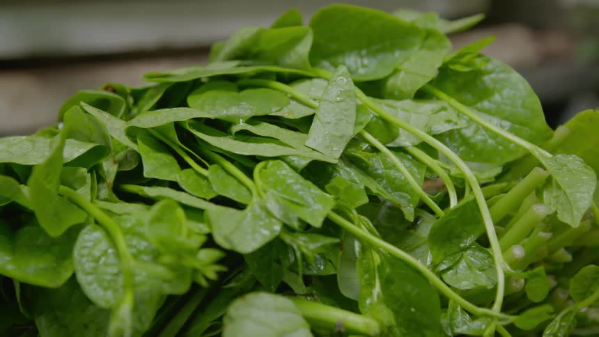 Spinach at a market