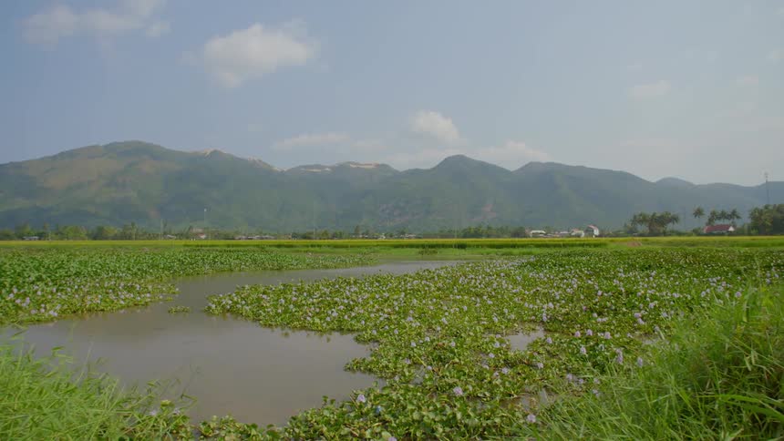 A view of a landscape is displayed in spring