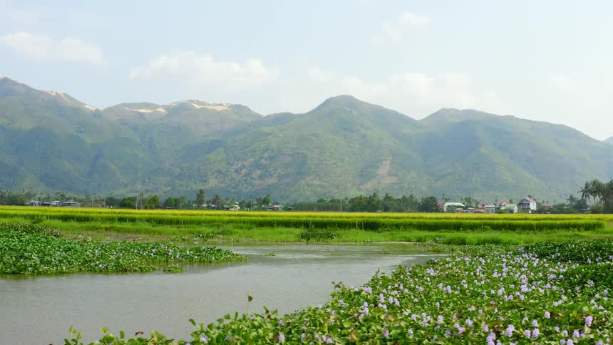 A landscape with a meadow with a creek and flowers blooming next to it with buildings and mountains in the far distance