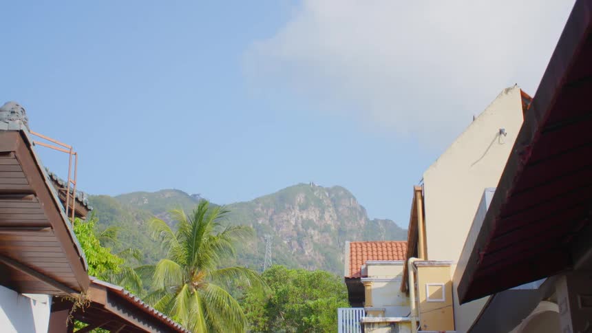 Palm trees surround houses in a neighborhood with stunning views of mountains