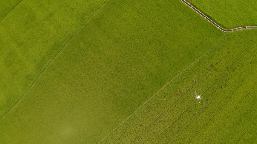 A birds eye view of rural fields on a farm