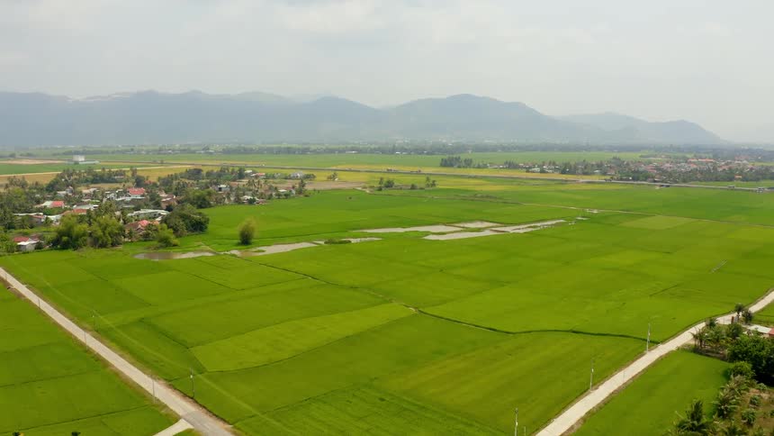 An aerial view of rural fields on a summer day
