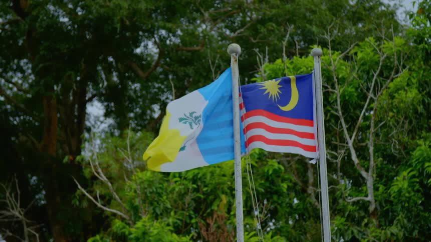 Wind blowing through flags near trees