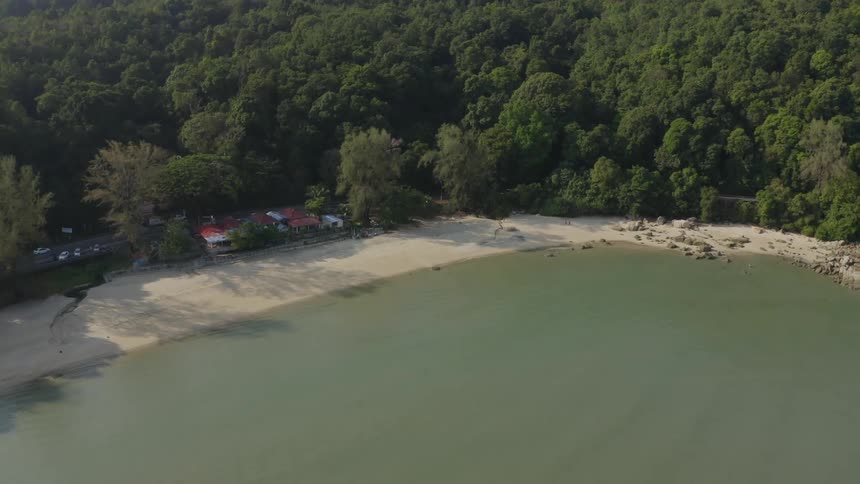 An aerial view of trees lining a sandy beach in the daytime