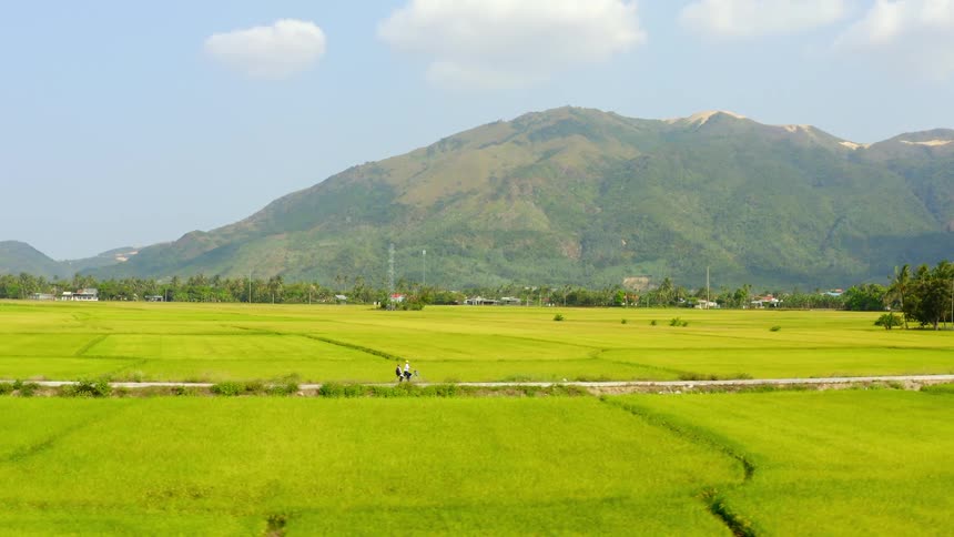 People biking a long a path next to a field
