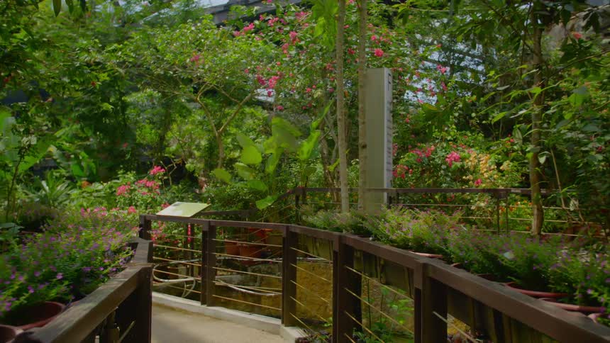 A trail surrounded by treevegetation and flowers