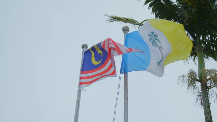 Flags blowing in the wind next to a palm tree