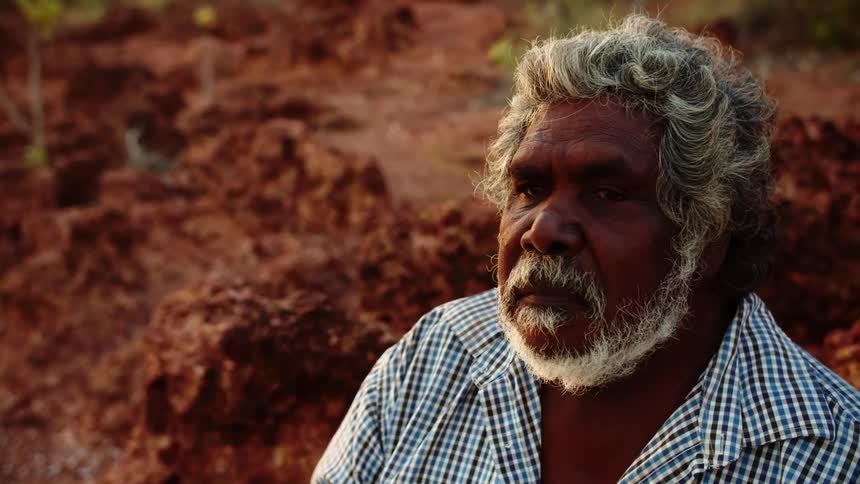 A gray haired bearded man in a plaid shirt poses outside in front of fallen leaves