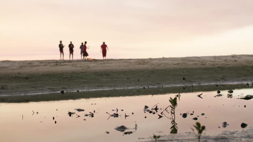 The silhouette of a group dancing and standing around a fire on shore