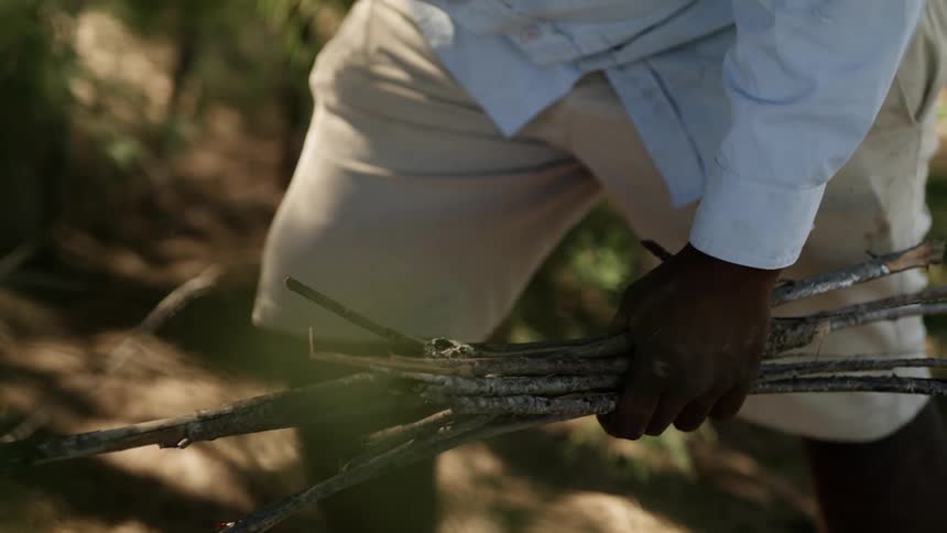 A man snaps a long branch in half before adding the halves to the many branches being held in one of his hands