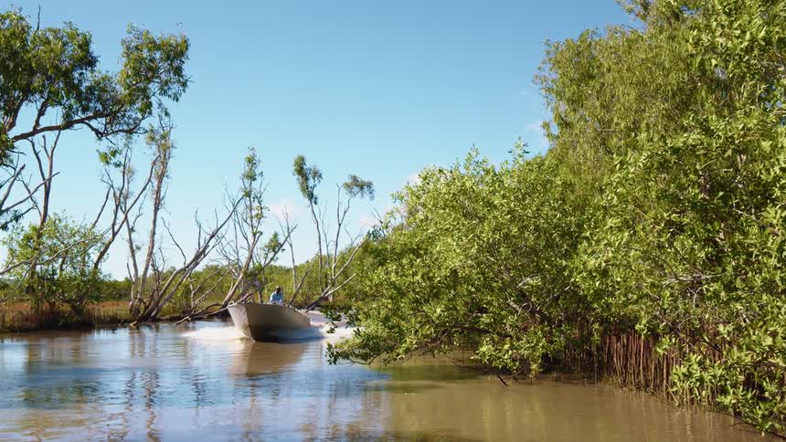 A man drives a motorboat through the murky waters of a swamp on a sunny day