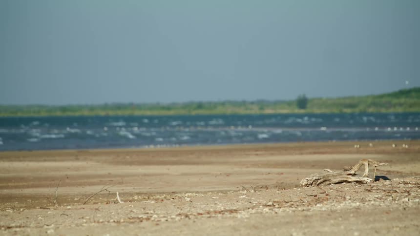 The flat soil of a beach under a pale blue sky