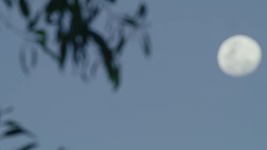 A full moon in the sky