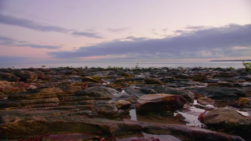 A stone coastline covered in rocks and sparse vegetation