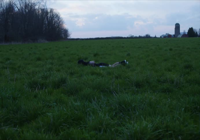 A man alternates between push ups and jumping jacks as he works out in field in the evening