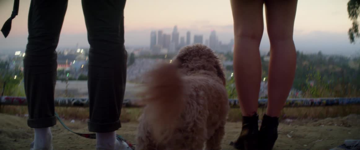 Two people walking with a dog looking over a city