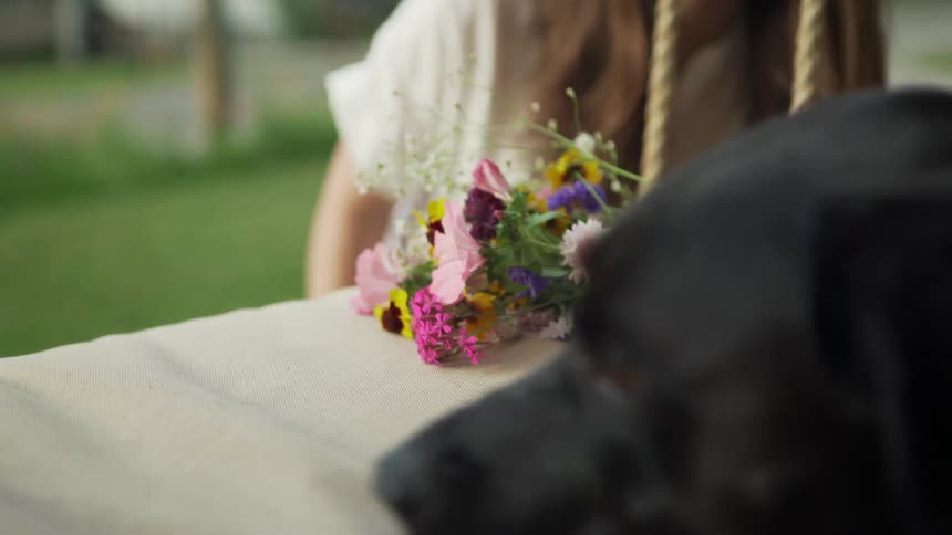 Flowers sitting on a chair being smelled by a dog