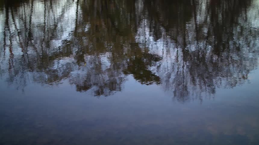 Trees are reflected in the lake