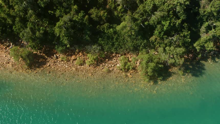 A small rocky beach between a forest the bluegreen ocean