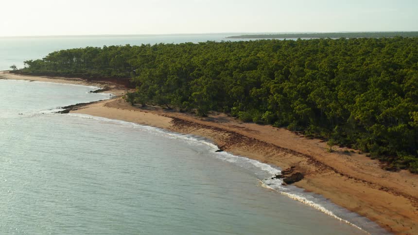 Forest covers land between coasts under misty sky