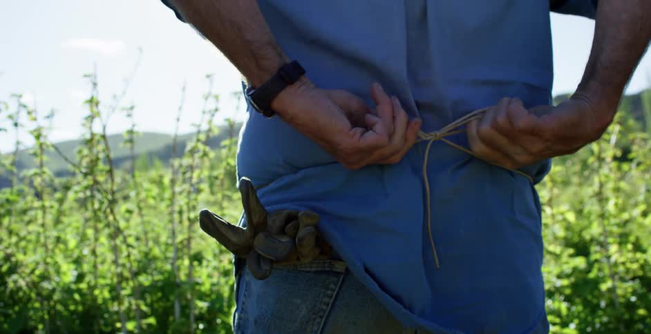 A man standing in a field of tall grass ties a string around his waist