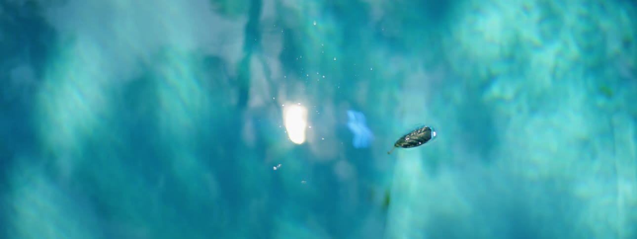 A leaf floats on the surface of an outdoors swimming pool during the day