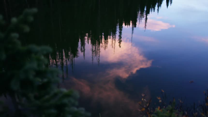 The sky and clouds reflected in a rippling forest lake at sunset