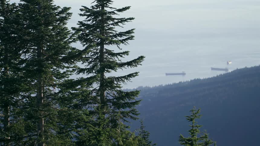 Mist covers water and mountain slope near conifer forest