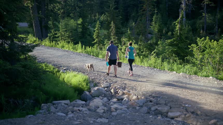 A woman walks her dog and her husband carries a wicker picnic basket as they walk along a gravel road