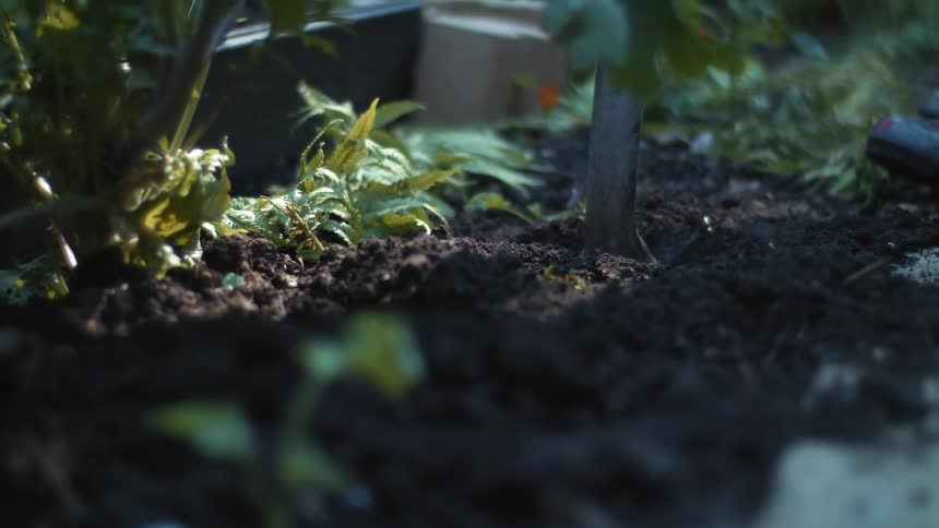 A person gardening in a greenhouse pushes a shovel in to soil with their boot