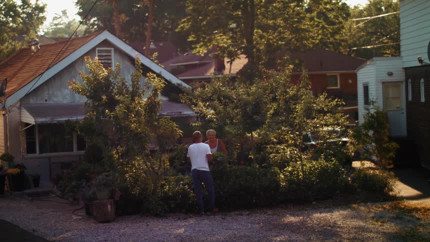 Two neighbors talk in the yard