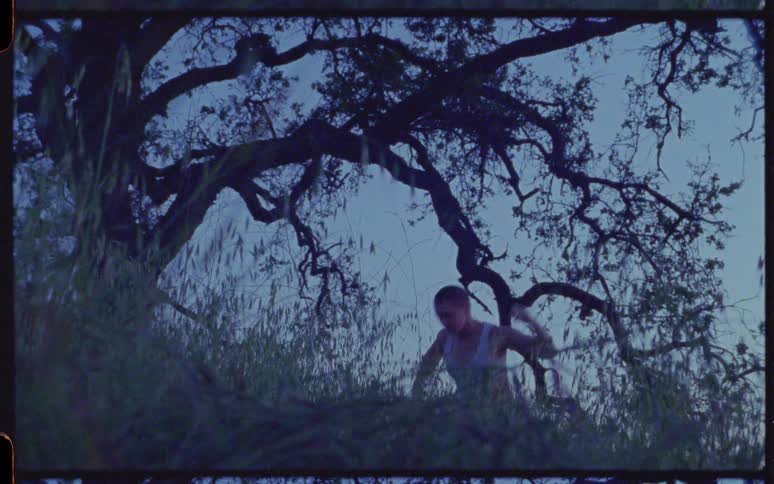 A woman dances in the tall grass under a tree in the evening
