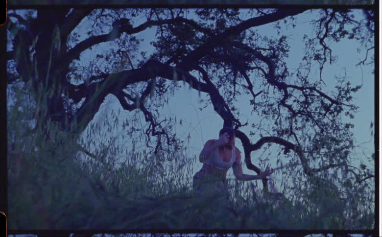 A woman dances in the tall grass beneath a large tree in the evening