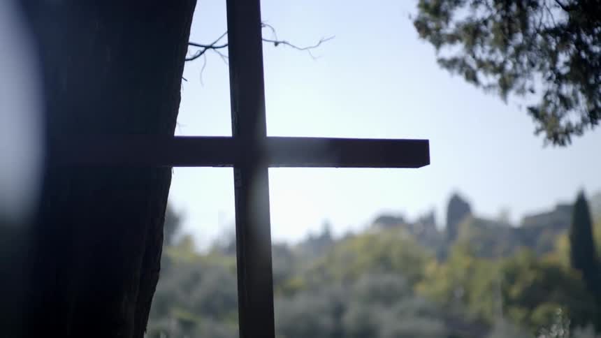 A wooden cross next to a tree